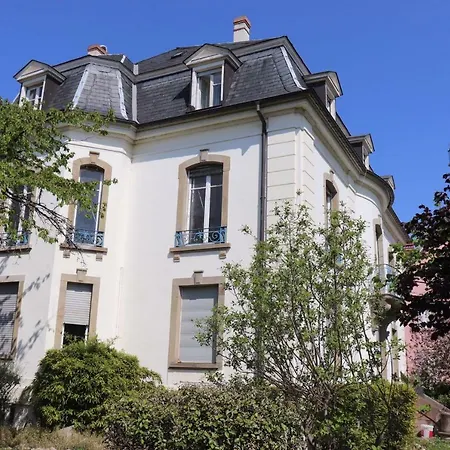 Daire Grand Cocooning Au Centre De Colmar